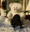 Wilbur_11-19.jpg (138497 bytes)